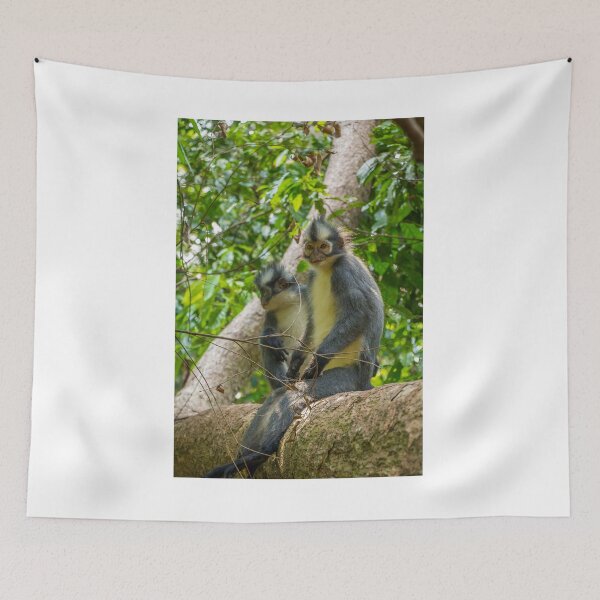 Item preview, A Thomas Langur, Leaf Monkey, feeding in a tree in Bukit Lawang, Indonesia designed and sold by SnapTPhotograph.