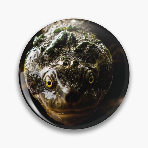 Item preview, turtle designed and sold by william672.