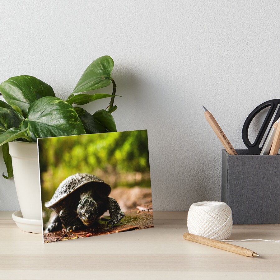 Item preview, Art Board Print designed and sold by william672.