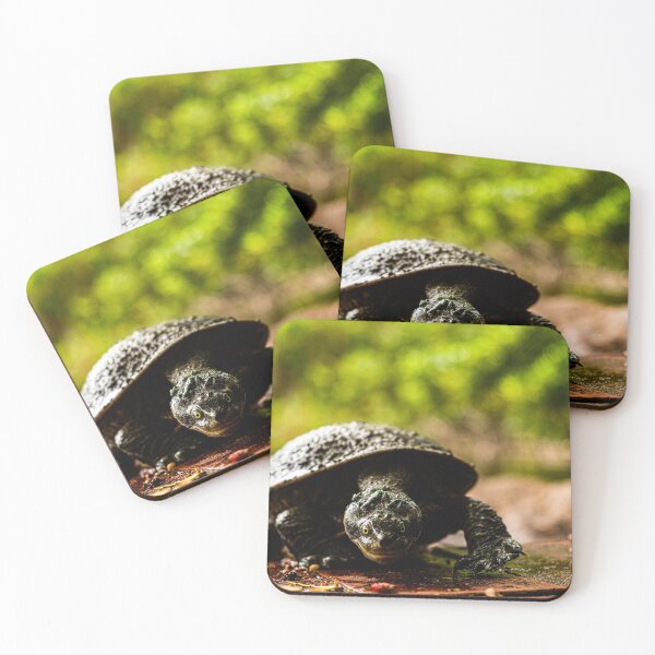 Item preview, turtle designed and sold by william672.