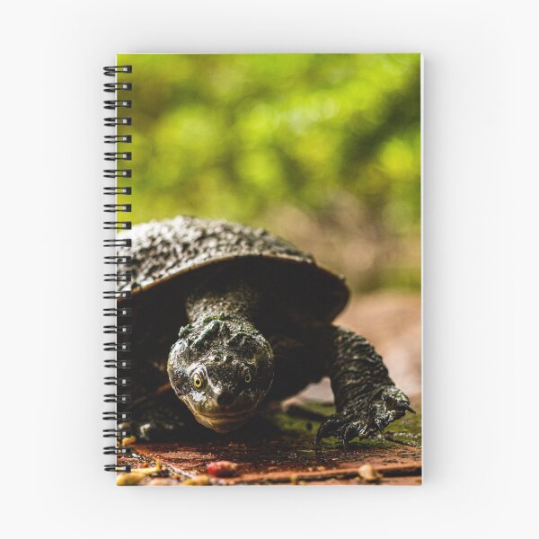 Item preview, turtle designed and sold by william672.
