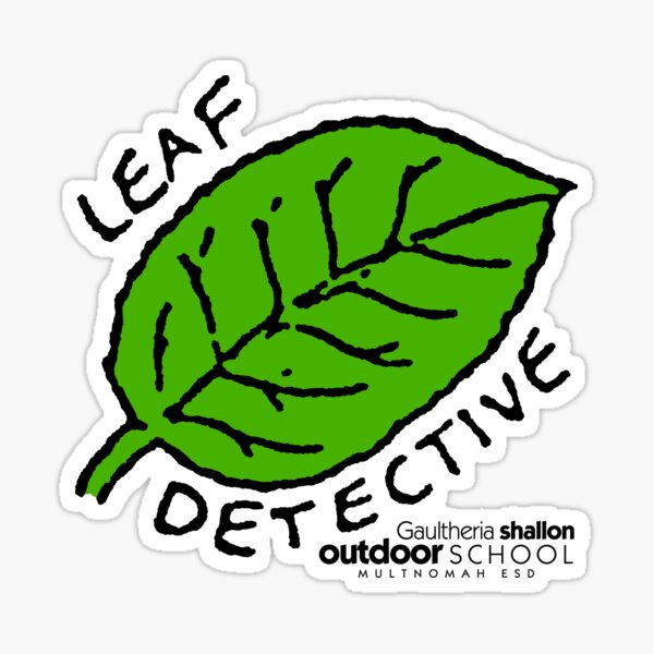 Item preview, Salal - Leaf Detective designed and sold by Multnomah ESD Outdoor School.