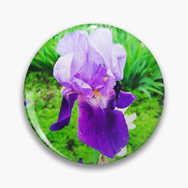 Item preview, Violet iris in blossom, natural perfection  designed and sold by helenkaiy.