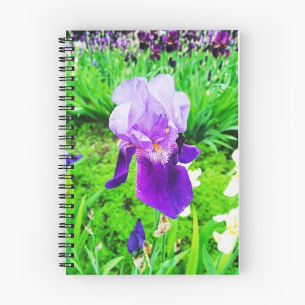 Item preview, Violet iris in blossom, natural perfection  designed and sold by helenkaiy.