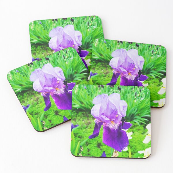 Item preview, Violet iris in blossom, natural perfection  designed and sold by helenkaiy.