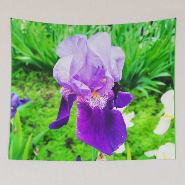 Item preview, Violet iris in blossom, natural perfection  designed and sold by helenkaiy.