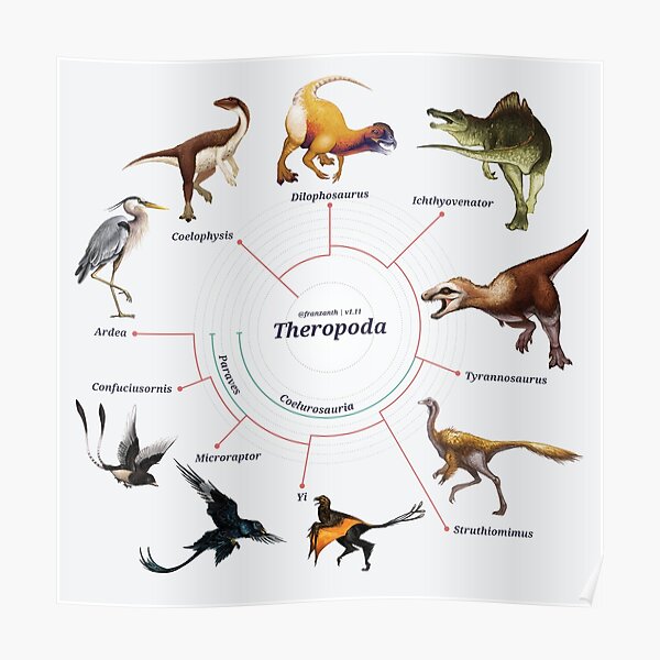 Theropoda: The Cladogram Poster