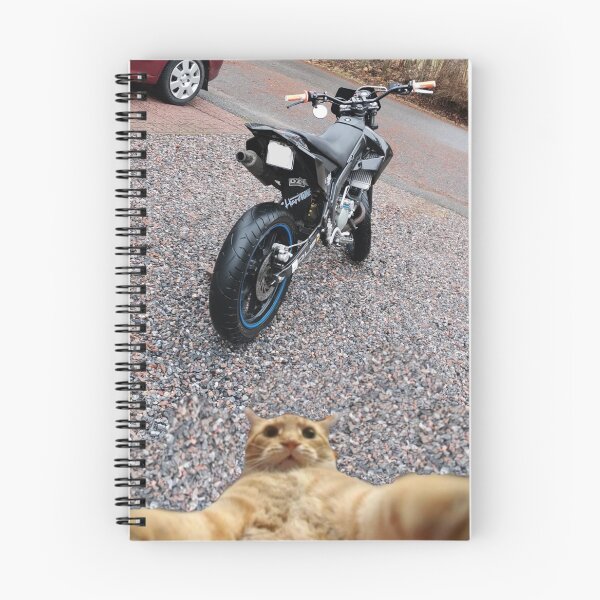 Item preview, Cat selfie designed and sold by KE70.