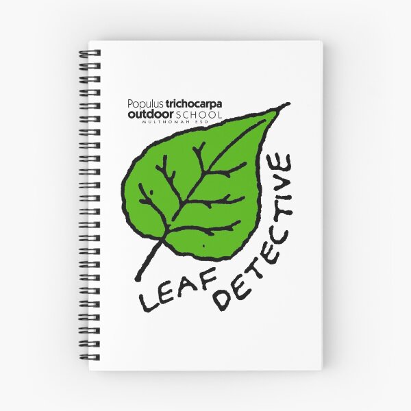 Item preview, Black Cottonwood - Leaf Detective designed and sold by Multnomah ESD Outdoor School.