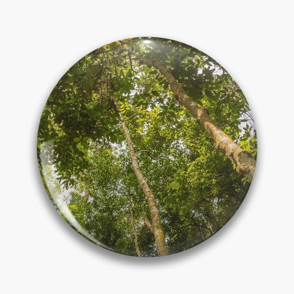 Item preview, The rainforest canopy in Gunung Leuser National Park, Bukit Lawang, Indonesia designed and sold by SnapTPhotograph.