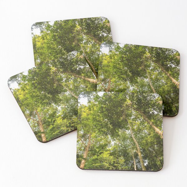 Item preview, The rainforest canopy in Gunung Leuser National Park, Bukit Lawang, Indonesia designed and sold by SnapTPhotograph.