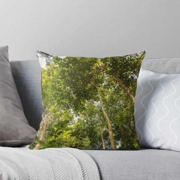 Item preview, The rainforest canopy in Gunung Leuser National Park, Bukit Lawang, Indonesia designed and sold by SnapTPhotograph.