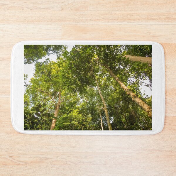 Item preview, The rainforest canopy in Gunung Leuser National Park, Bukit Lawang, Indonesia designed and sold by SnapTPhotograph.