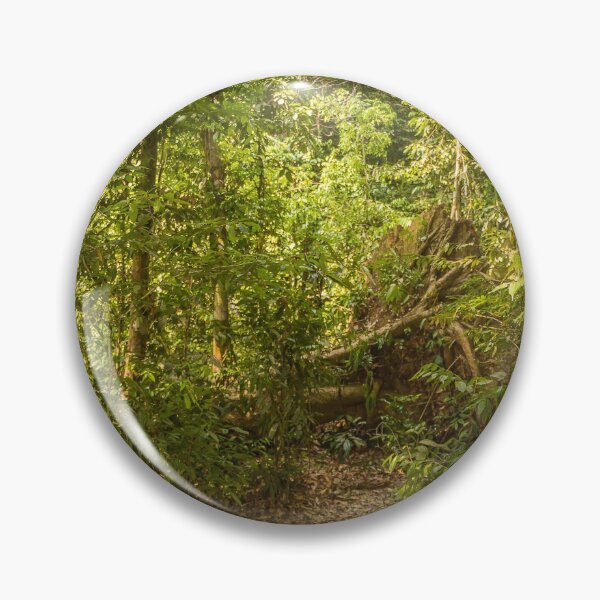 Item preview, A trail through the rainforest in Gunung Leuser National Park, Bukit Lawang designed and sold by SnapTPhotograph.