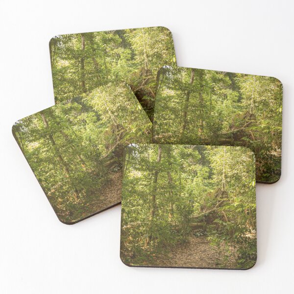 Item preview, A trail through the rainforest in Gunung Leuser National Park, Bukit Lawang designed and sold by SnapTPhotograph.