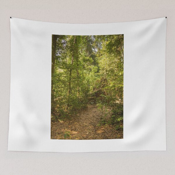 Item preview, A trail through the rainforest in Gunung Leuser National Park, Bukit Lawang designed and sold by SnapTPhotograph.