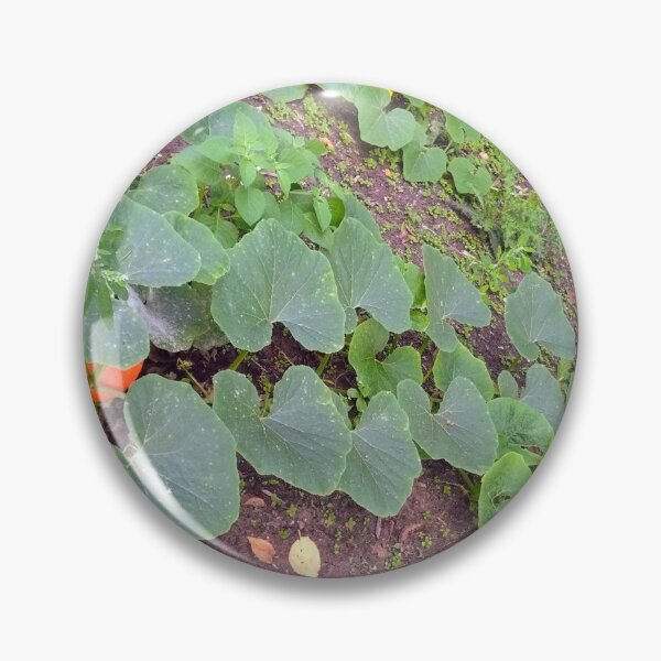 Item preview, Pumpkin Foliage, Blossom & Fruit designed and sold by hajarsdeco.