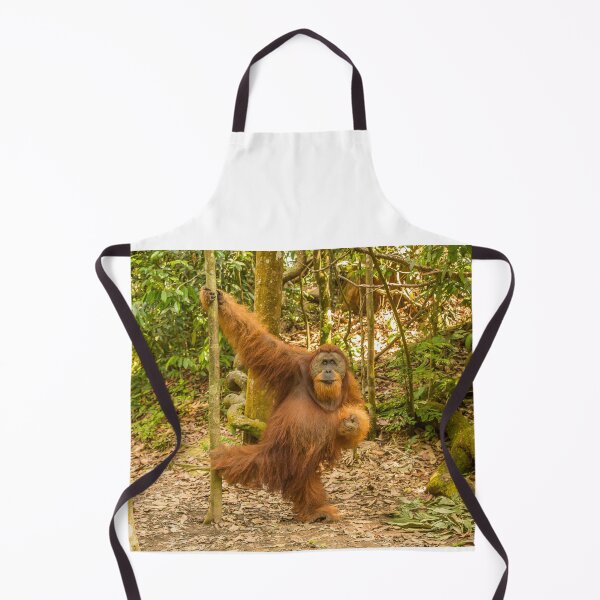 Item preview, An orangutan in the jungle of Gungung Leuser National Park, Bukit Lawang designed and sold by SnapTPhotograph.