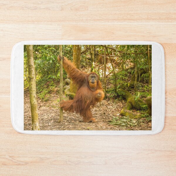 Item preview, An orangutan in the jungle of Gungung Leuser National Park, Bukit Lawang designed and sold by SnapTPhotograph.