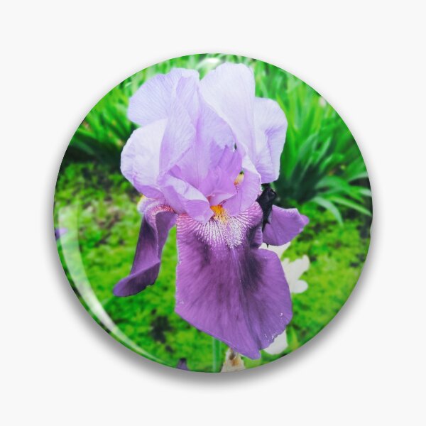 Item preview, Violet iris in blossom, natural perfection  designed and sold by helenkaiy.