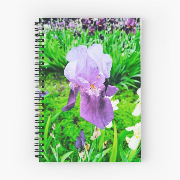 Item preview, Violet iris in blossom, natural perfection  designed and sold by helenkaiy.