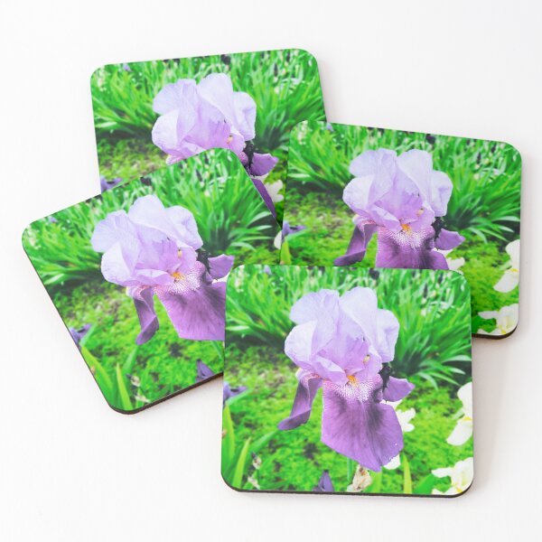 Item preview, Violet iris in blossom, natural perfection  designed and sold by helenkaiy.