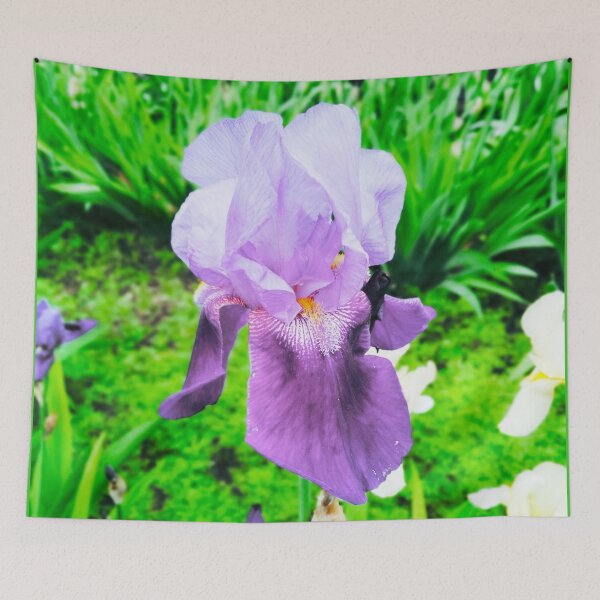 Item preview, Violet iris in blossom, natural perfection  designed and sold by helenkaiy.