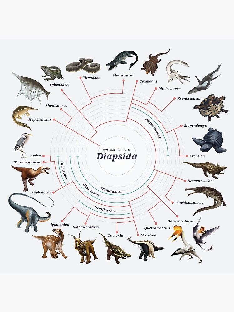 Diapsida: The Cladogram by franzanth