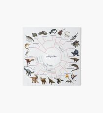 Diapsida: The Cladogram Art Board