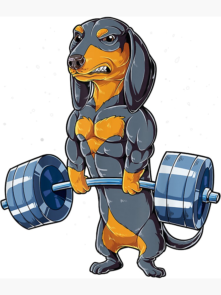 Dachshund Weightlifting Funny Gift For Deadlift Men Fitness Gym