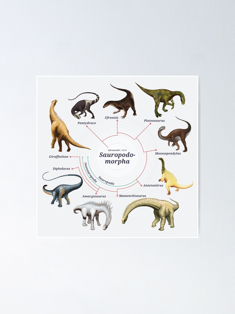 Alternate view of Sauropodomorpha: The Cladogram Poster