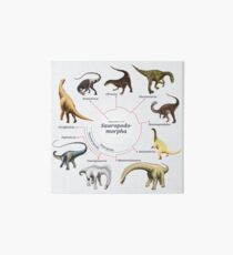Sauropodomorpha: The Cladogram Art Board