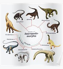 Sauropodomorpha: The Cladogram Poster
