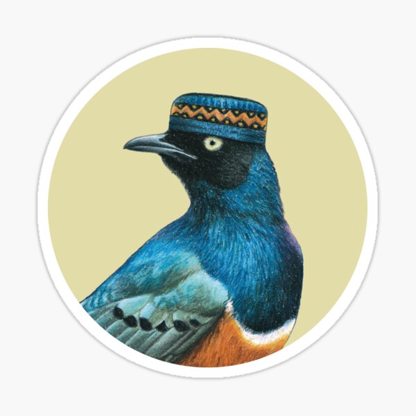 Item preview, Superb starling designed and sold by Nemonvmv.