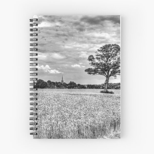Item preview, St James' Church, Louth, Behind The Trees, Lincolnshire, UK designed and sold by Paul Thompson Photography.