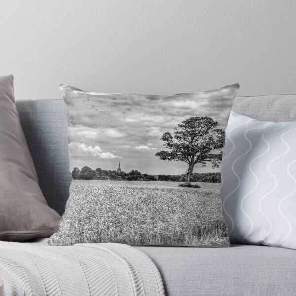 Item preview, St James' Church, Louth, Behind The Trees, Lincolnshire, UK designed and sold by Paul Thompson Photography.