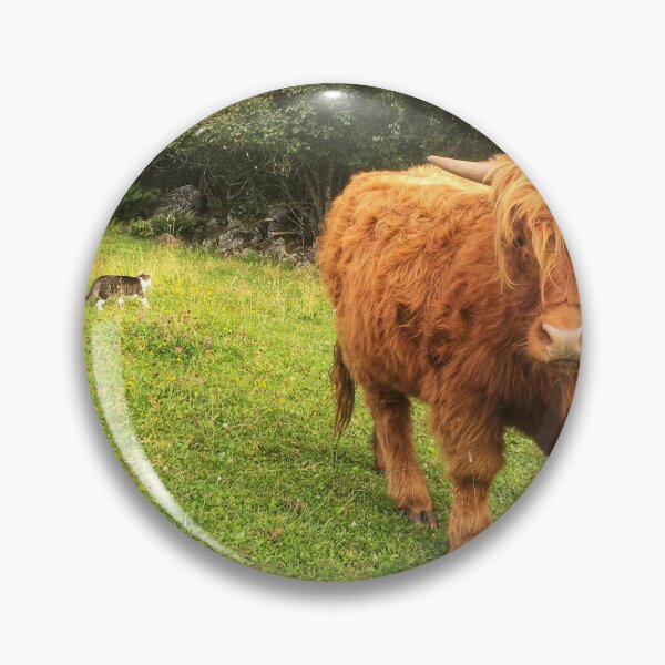 Item preview, Scottish Highland Cattle Calf 2064 designed and sold by SaarelaHighland.