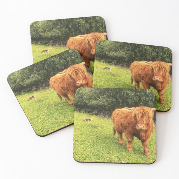 Item preview, Scottish Highland Cattle Calf 2064 designed and sold by SaarelaHighland.