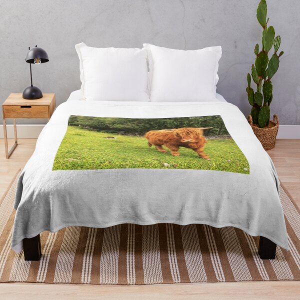 Item preview, Scottish Highland Cattle Calf 2064 designed and sold by SaarelaHighland.