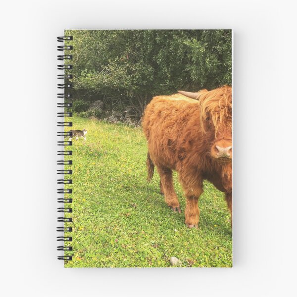 Item preview, Scottish Highland Cattle Calf 2064 designed and sold by SaarelaHighland.