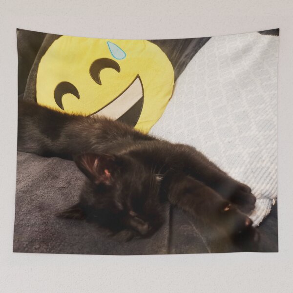 Item preview, black cute cat designed and sold by OMdesigns93.