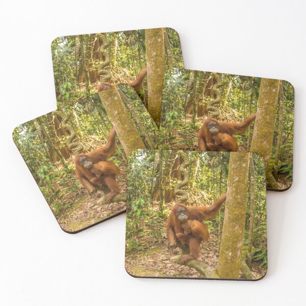 Item preview, An orangutan with her baby, sitting on a branch in Gungung Leuser National Park designed and sold by SnapTPhotograph.