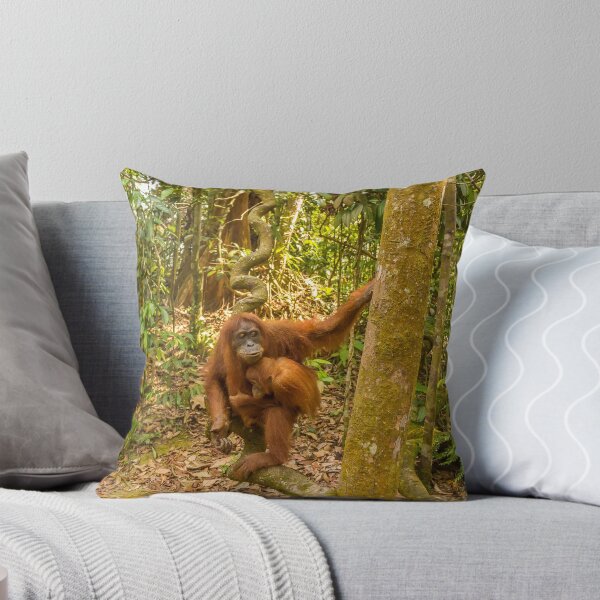 Item preview, An orangutan with her baby, sitting on a branch in Gungung Leuser National Park designed and sold by SnapTPhotograph.