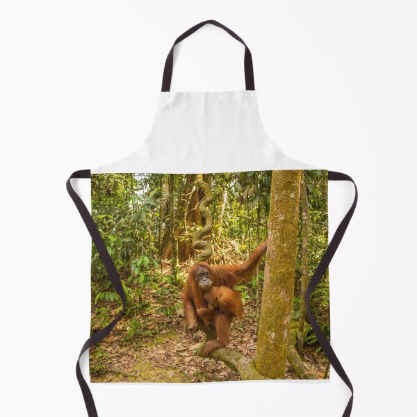 Item preview, An orangutan with her baby, sitting on a branch in Gungung Leuser National Park designed and sold by SnapTPhotograph.
