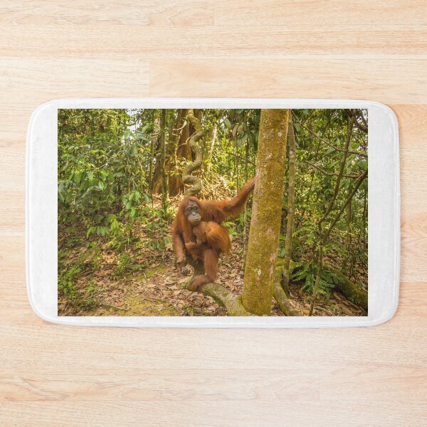 Item preview, An orangutan with her baby, sitting on a branch in Gungung Leuser National Park designed and sold by SnapTPhotograph.