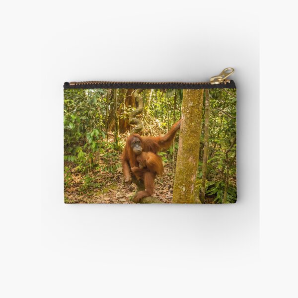 Item preview, An orangutan with her baby, sitting on a branch in Gungung Leuser National Park designed and sold by SnapTPhotograph.