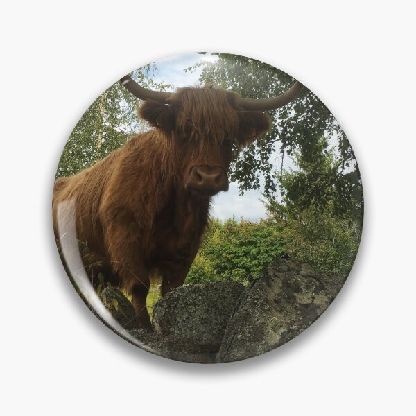 Item preview, Scottish Highland Cattle Cow 2070 designed and sold by SaarelaHighland.
