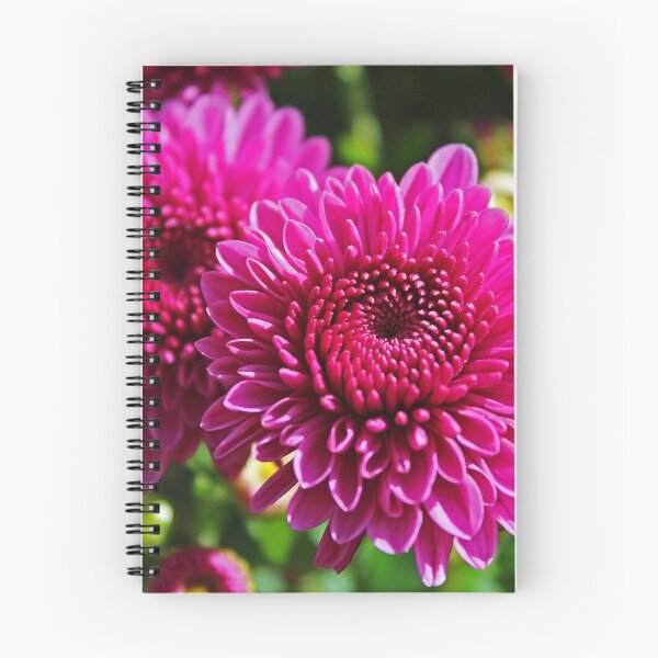 Item preview, Fuchsia Mums designed and sold by Gilda Axelrod.