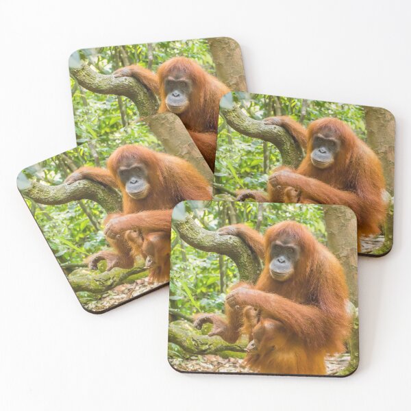 Item preview, An orangutan with her baby, sitting on a branch in Gungung Leuser National Park designed and sold by SnapTPhotograph.