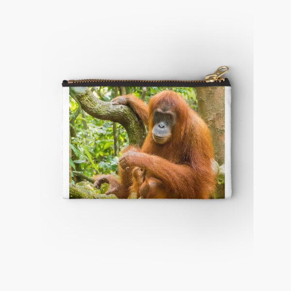 Item preview, An orangutan with her baby, sitting on a branch in Gungung Leuser National Park designed and sold by SnapTPhotograph.